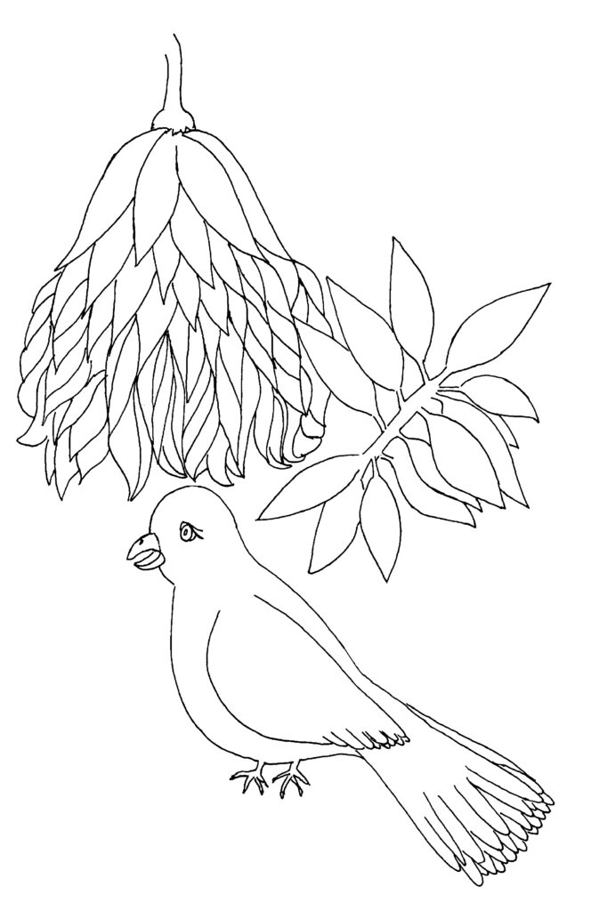 Bird coloring page