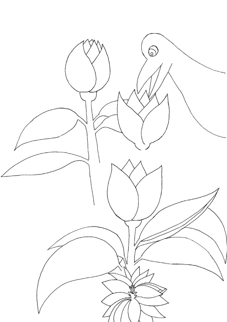 Bird coloring page
